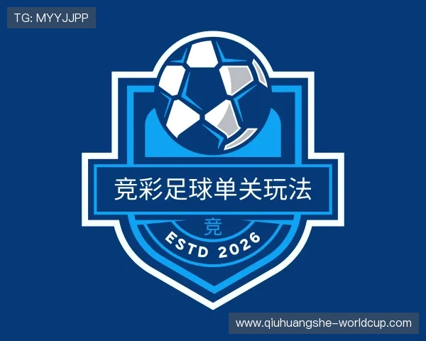 关于球皇社博球网赌城